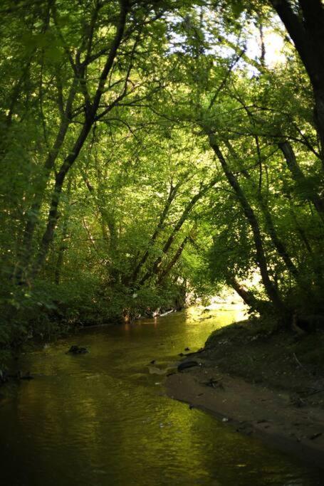 Вилла Bosques Del Colorado.Relax En El Bosque Лос-Серрильос Экстерьер фото